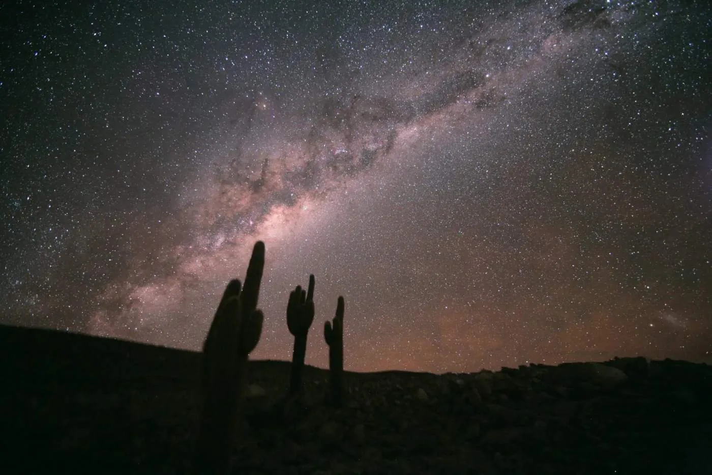 The Milky Way above cacti in the Atacama night