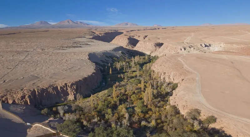 The green Jere ravine in the desert